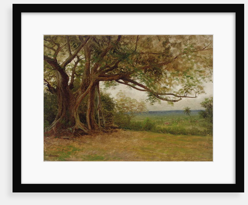 Study for 'The Landing of Columbus', 1892 by Albert Bierstadt