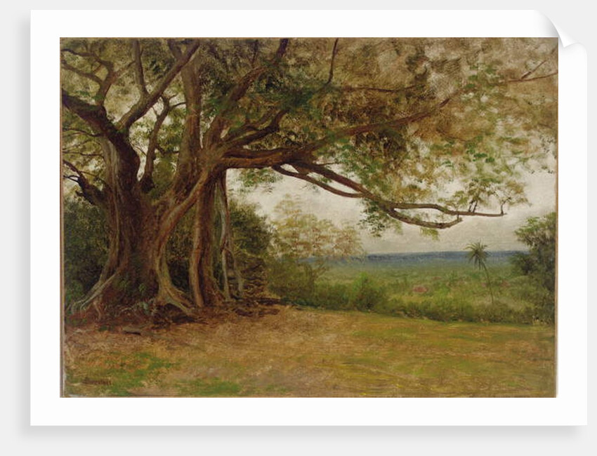 Study for 'The Landing of Columbus', 1892 by Albert Bierstadt