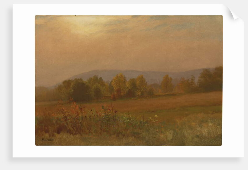 Untitled by Albert Bierstadt
