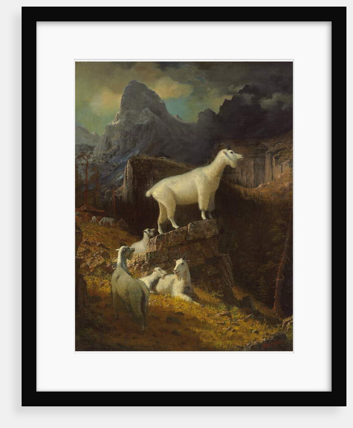Rocky Mountain Goats, c.1885 by Albert Bierstadt