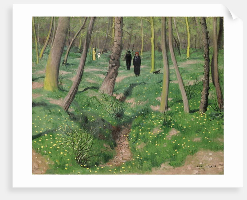 Undergrowth in Spring, 1923 by Felix Edouard Vallotton