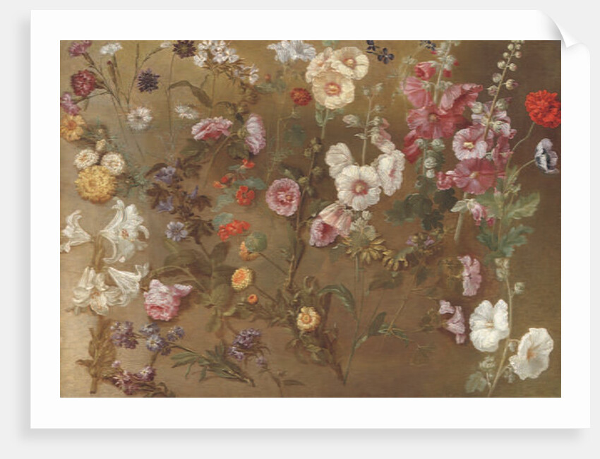 Composition of flower studies including carnations, pincushion flowers, bouncing bet, mallow; hollyhocks, African marigols, forget-me-nots by Hyacinthe Francois Rigaud