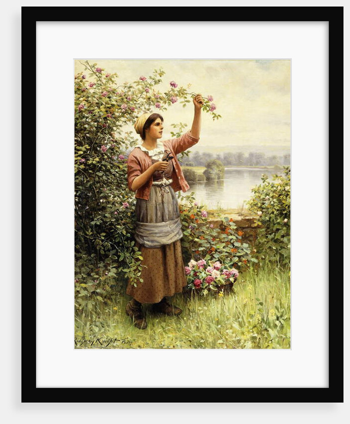 Cutting Roses Along the Seine by Daniel Ridgway Knight