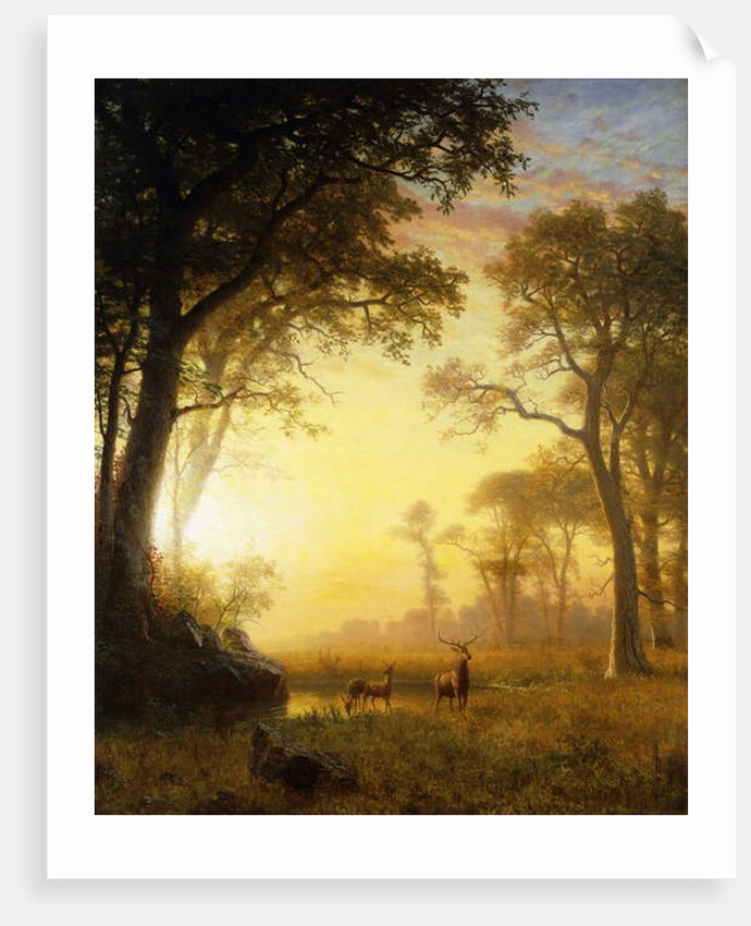 Light in the Forest by Albert Bierstadt