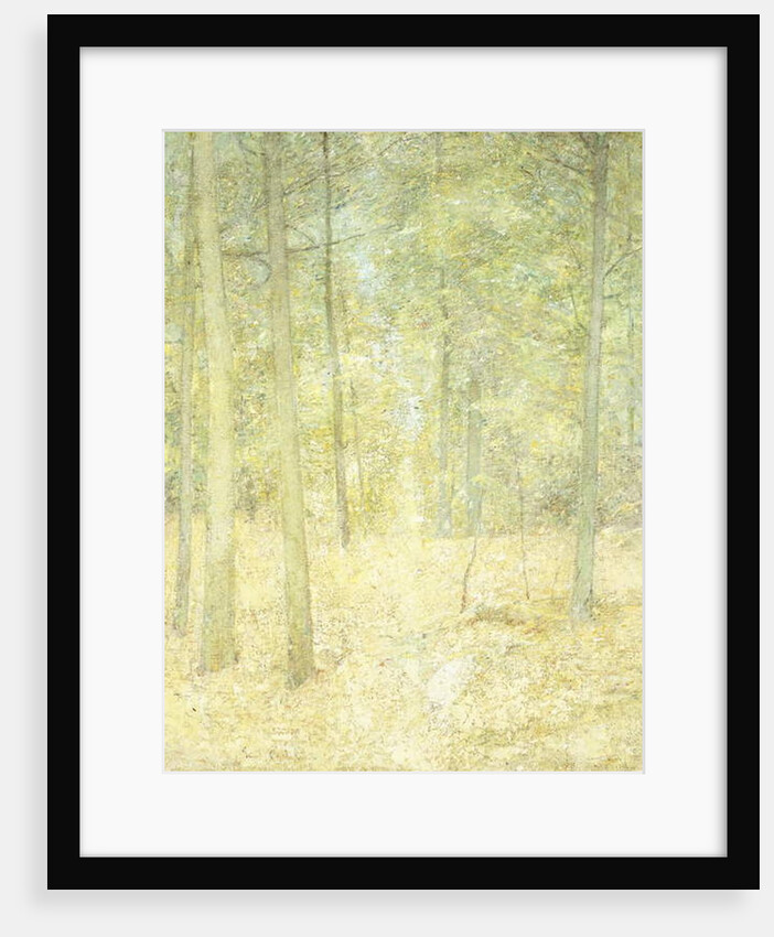 A Woodland Scene by Emil Carlsen