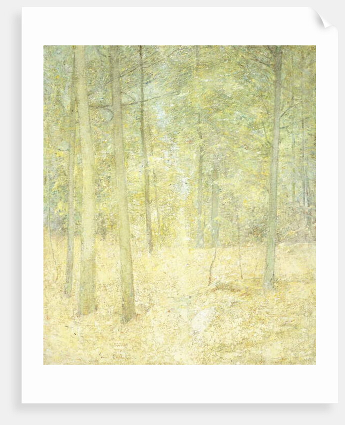 A Woodland Scene by Emil Carlsen