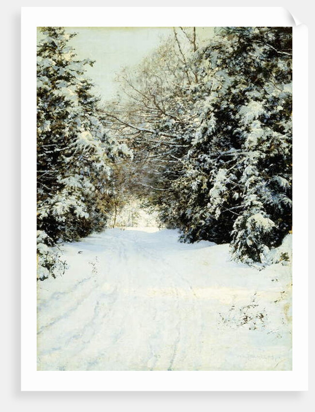 Snow-Laden Trees, 1887 by Walter Launt Palmer