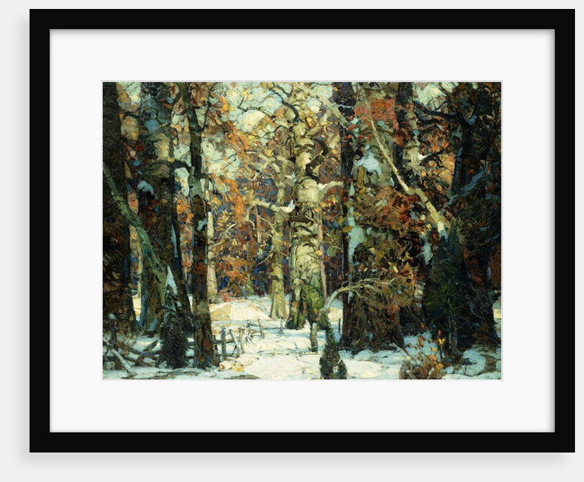 Aisles of the Forest, Berkshires by John Fabian Carlson