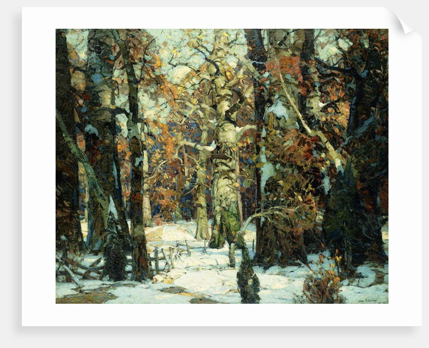 Aisles of the Forest, Berkshires by John Fabian Carlson