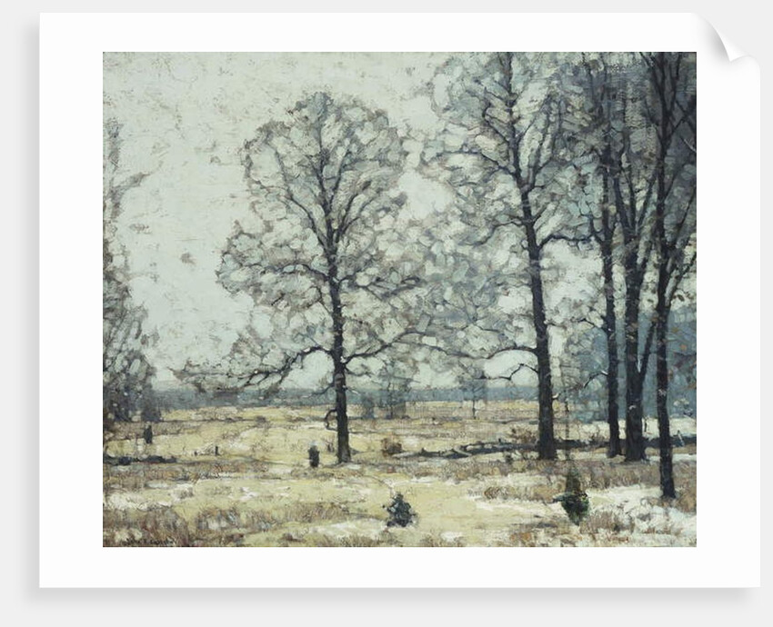 Winter Hickories by John Fabian Carlson
