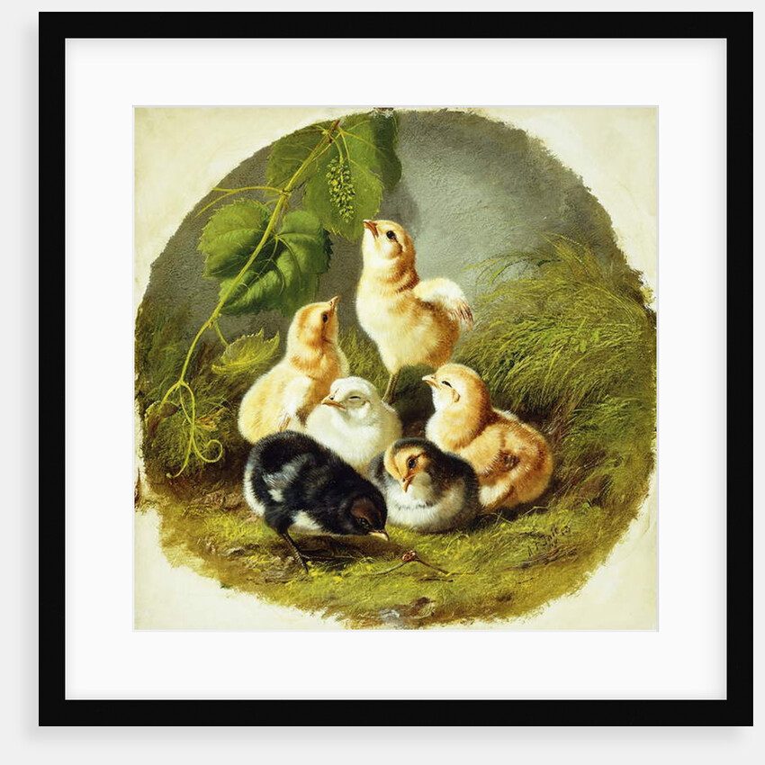 Chicks, 1863 by Arthur Fitzwilliam Tait