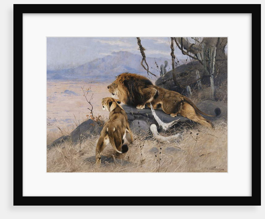 Lion and Lioness; Lowe und Lowin by Wilhelm Kuhnert