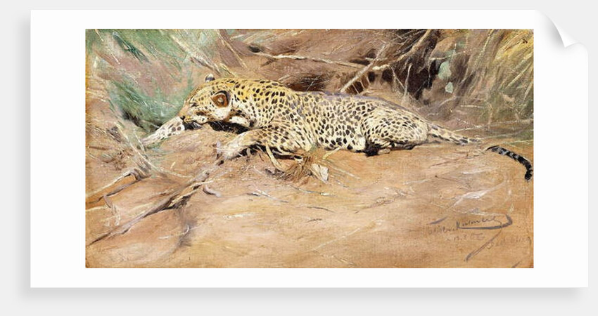 A Leopard by Wilhelm Kuhnert