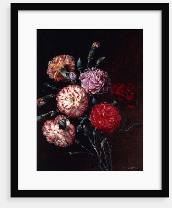 Carnations by Johan Laurents Jensen