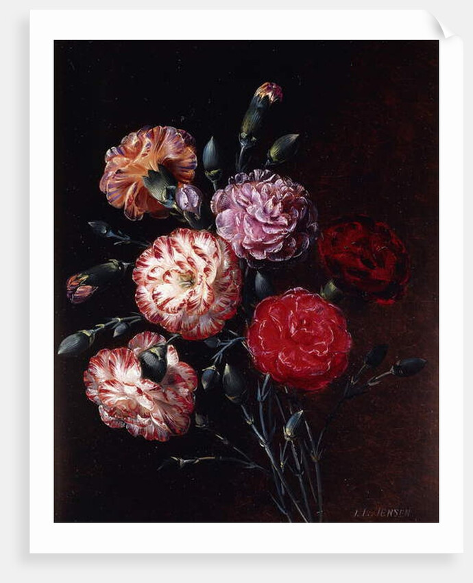 Carnations by Johan Laurents Jensen