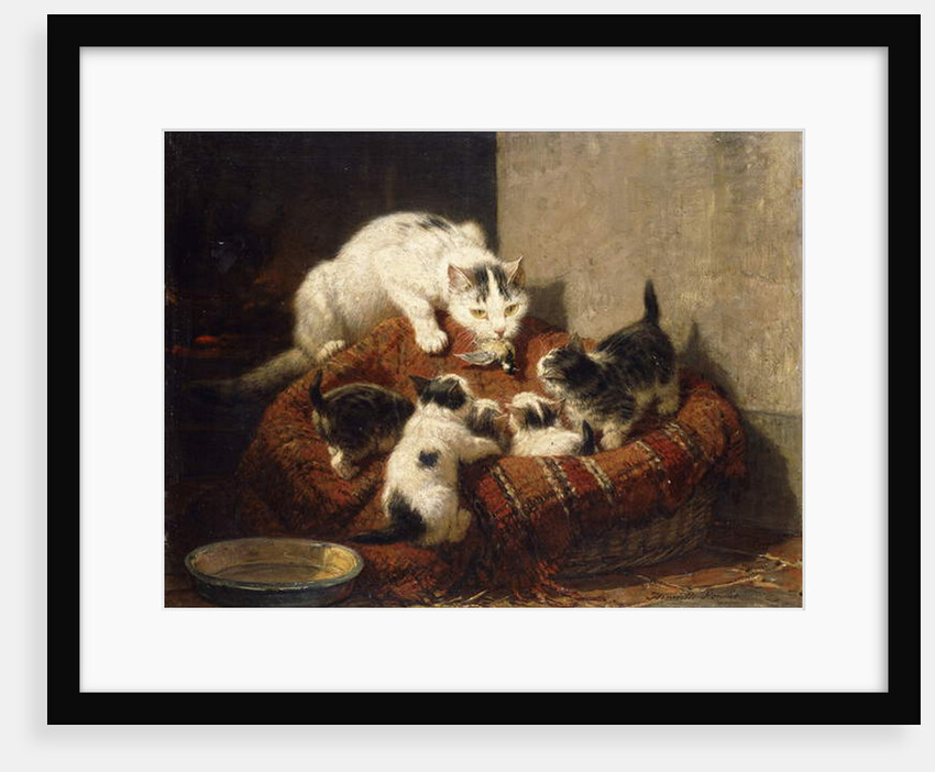 A Feathered Gift by Henriette Ronner-Knip