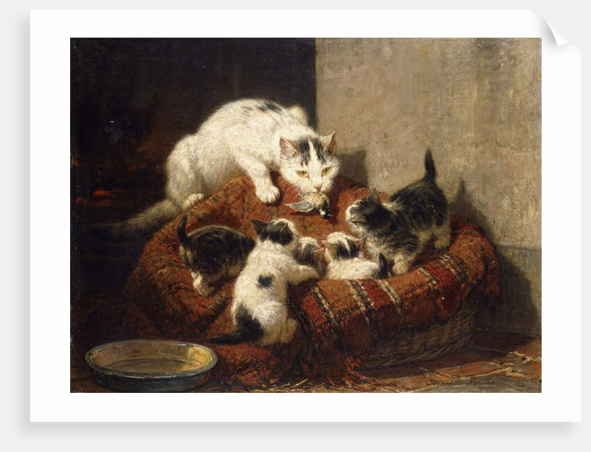 A Feathered Gift by Henriette Ronner-Knip