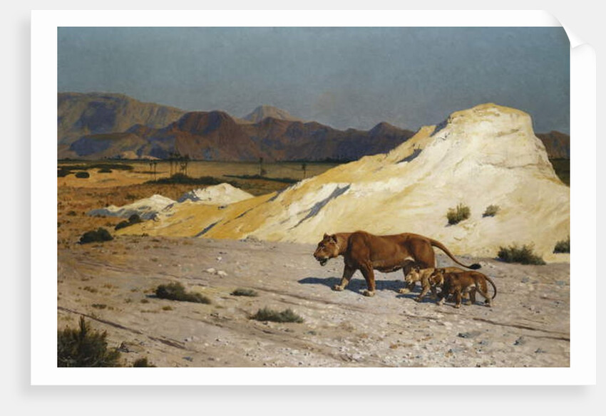 Lioness and Cubs; Lionne et Lioceaux by Jean Leon Gerome