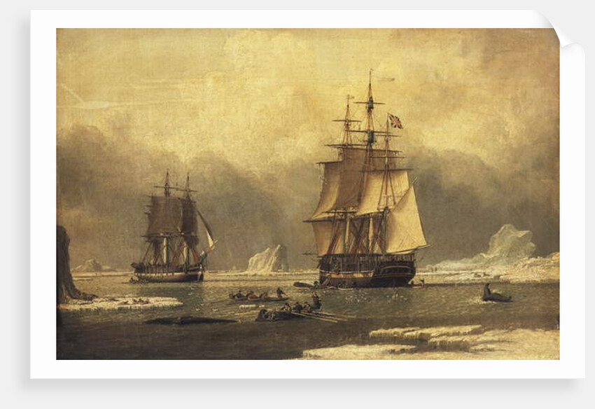 The 'Swan' and 'Isabella' Whaling in the Arctic by John of Hull Ward