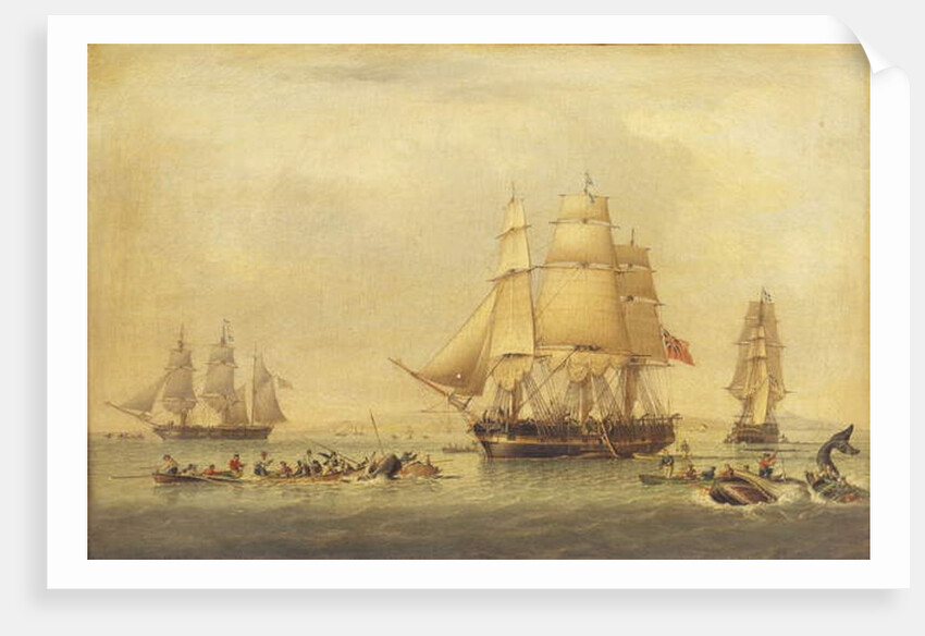 Whalers of the South Seas Fishery by John of Hull Ward