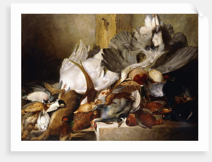 A Still Life of Dead Birds; A Heron Hanging from a Wall, Duck, Pheasant, Partridge, Woodcock, a Swan and a Pigeon with a Hare, 1845 by W. Oakes