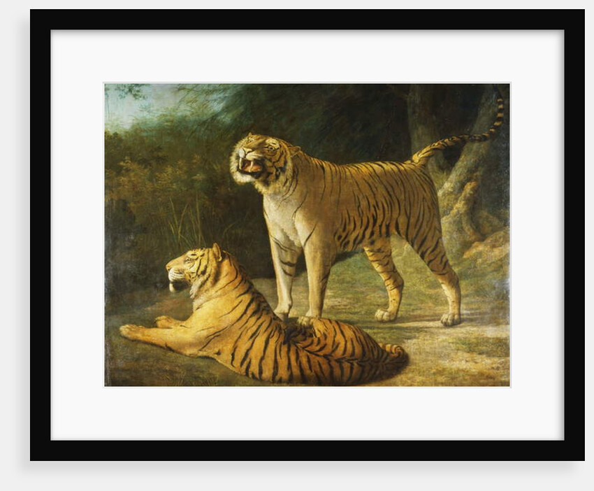 A Tiger and Tigress at the Exeter 'Change Menagerie in 1808, 1808 by Jacques-Laurent Agasse