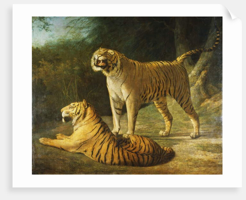 A Tiger and Tigress at the Exeter 'Change Menagerie in 1808, 1808 by Jacques-Laurent Agasse