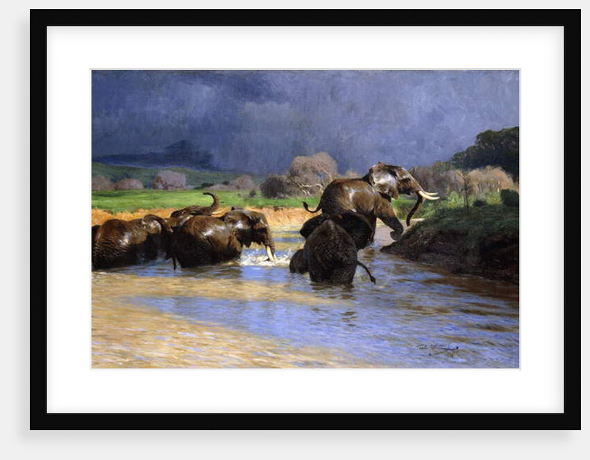 Elephants Bathing; Badende Elefanten, 1908 by Wilhelm Kuhnert