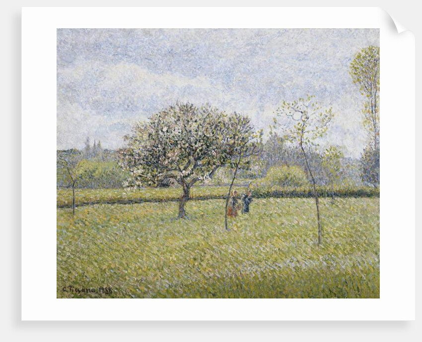 Apple Tree in Flower at Eragny by Camille Pissarro