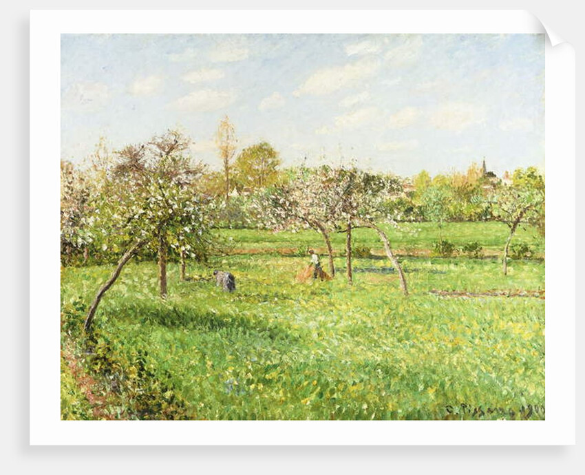 Morning, Spring, Grey Weather, Eragny; Matin, Printemps, Temps Gris, Eragny, 1900 by Camille Pissarro