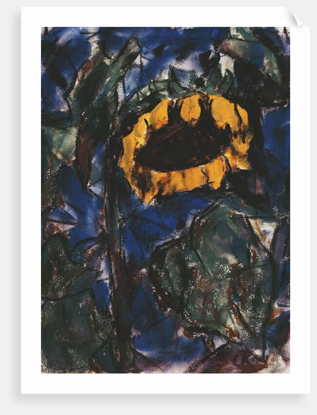 Sunflower; Sonnenblume by Christian Rohlfs