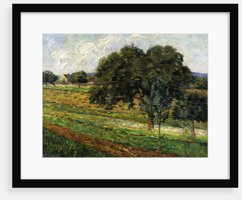 Trees and Flowers, Damiette Countryside; Arbres et Fleurs, Paysage a Damiette, c.1885 by Jean Baptiste Armand Guillaumin