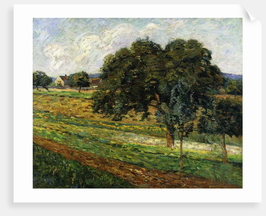 Trees and Flowers, Damiette Countryside; Arbres et Fleurs, Paysage a Damiette, c.1885 by Jean Baptiste Armand Guillaumin