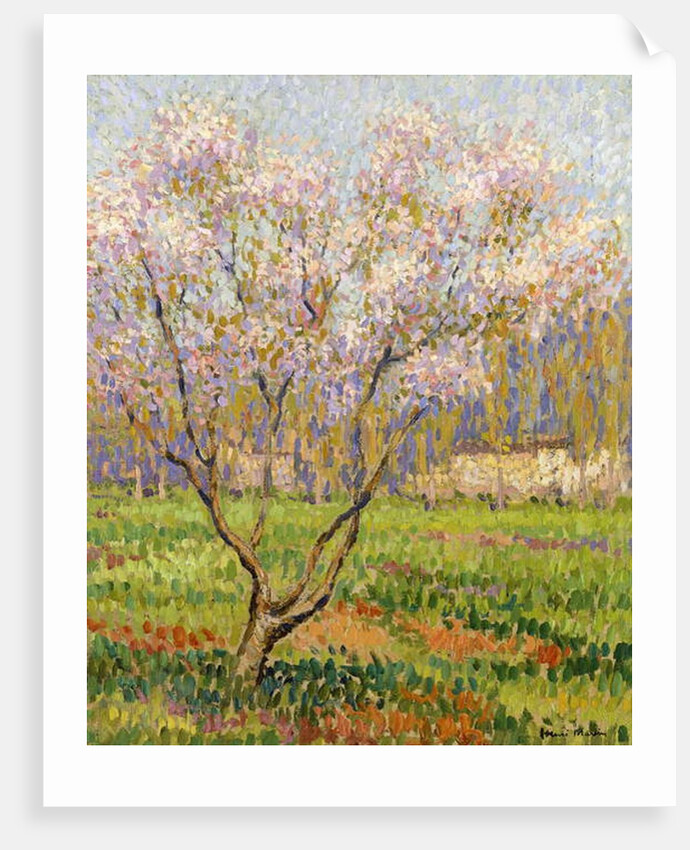 Apple Tree in Blossom; Pommiers en Fleurs by Henri Jean Guillaume Martin