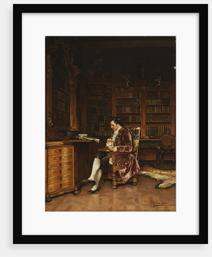 In the Library by Johann Hamza