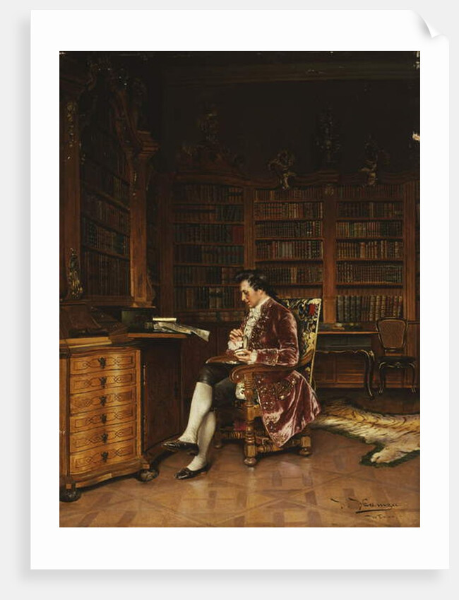 In the Library by Johann Hamza