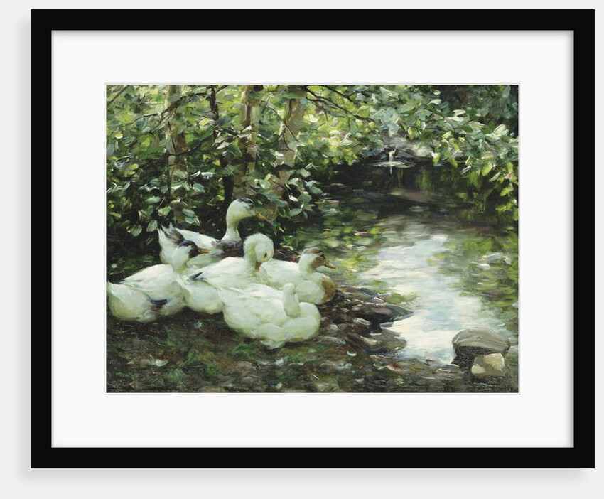 Five ducks on the river, Stony shore; Funf Enten am Bach, Steiniges Ufer by Alexander Koester