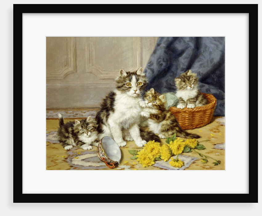 Playful Kittens by Daniel Merlin