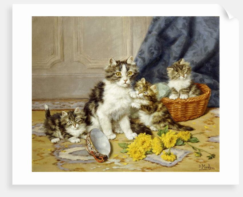 Playful Kittens by Daniel Merlin