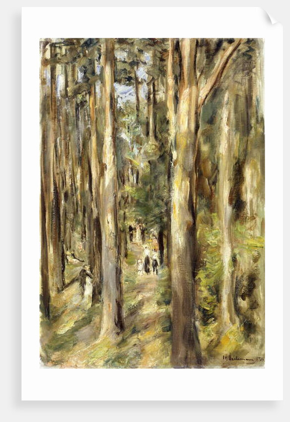 Picnic in the Woods, 1920 by Max Liebermann