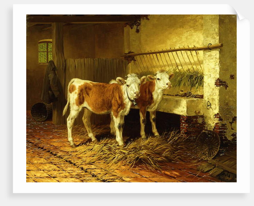 Two Calves in a Barn by Walter Hunt
