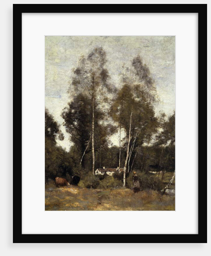 Clairiere Pierre du Bois, the Evaux, near Chateau-Thierry; Clairiere du Bois Pierre, aux Evaux, pres Chateau-Thierry, c.1855-65 by Jean Baptiste Camille Corot