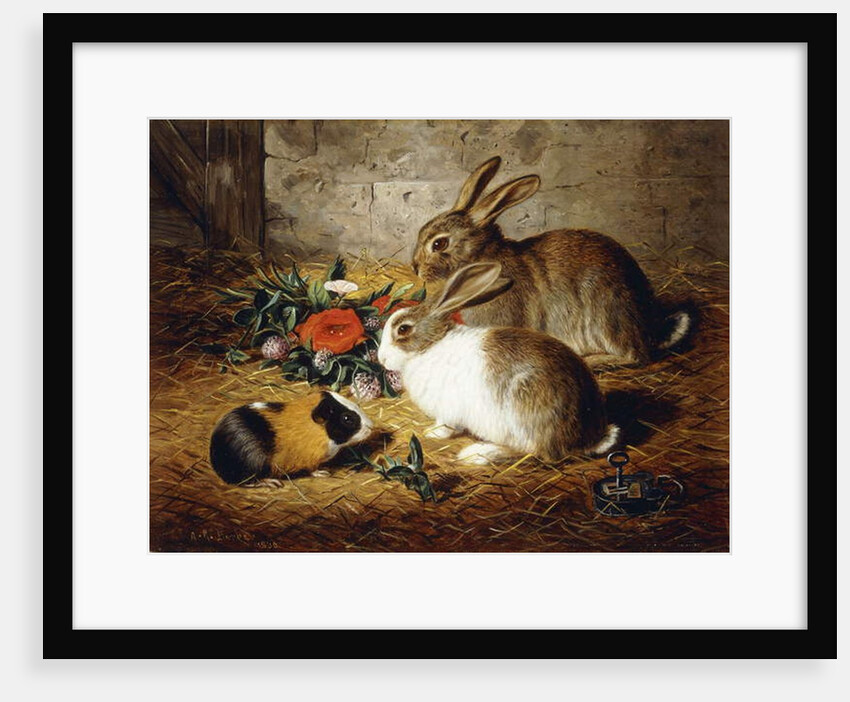 Escaped: Two Rabbits and Guinea Pig, 1880 by Alfred R. Barber