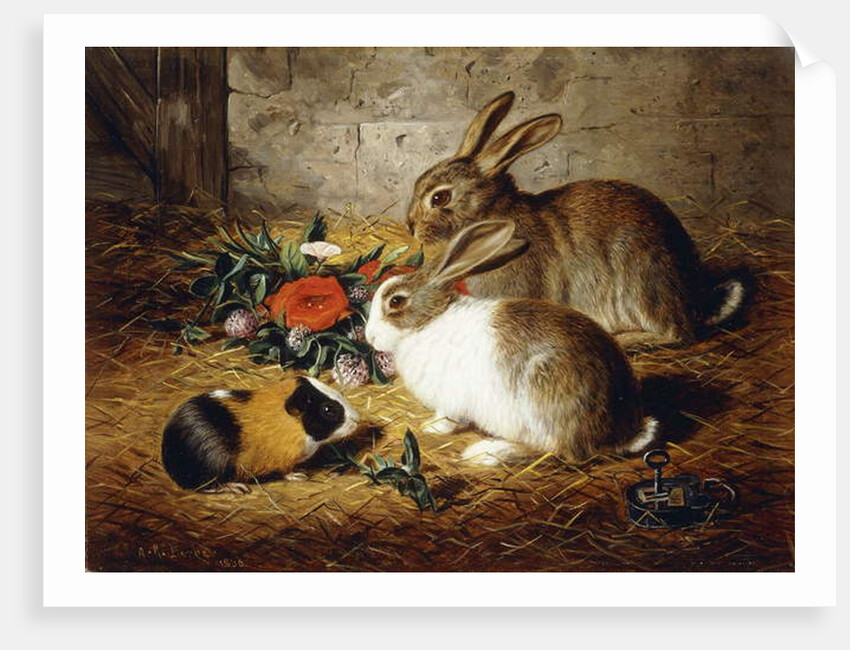 Escaped: Two Rabbits and Guinea Pig, 1880 by Alfred R. Barber
