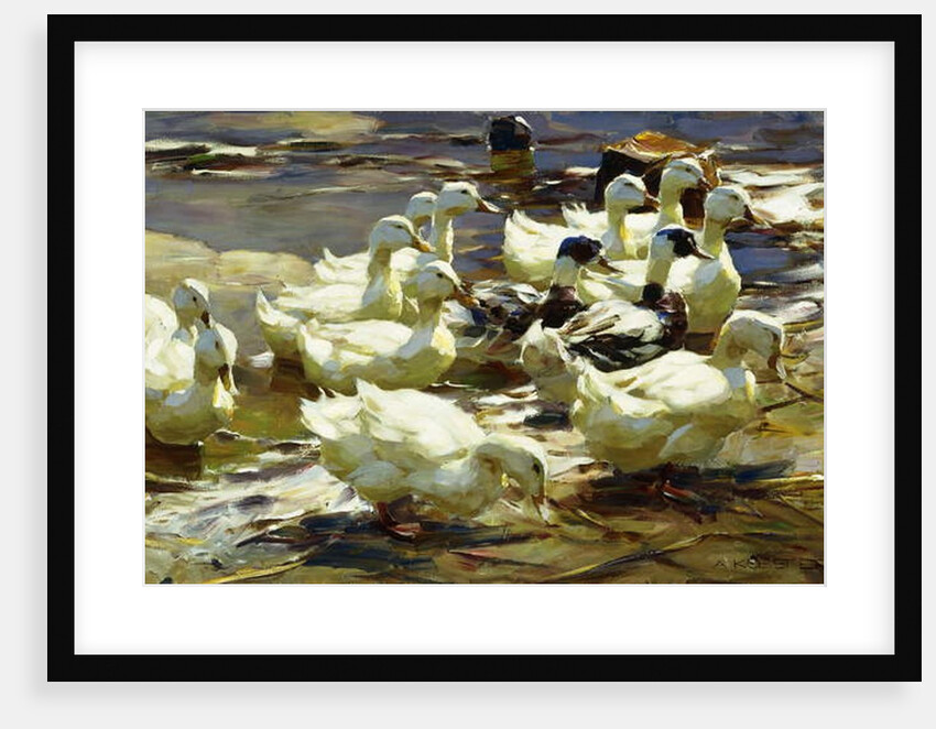Ducks in the Pond; Enten im Teich, by Alexander Koester