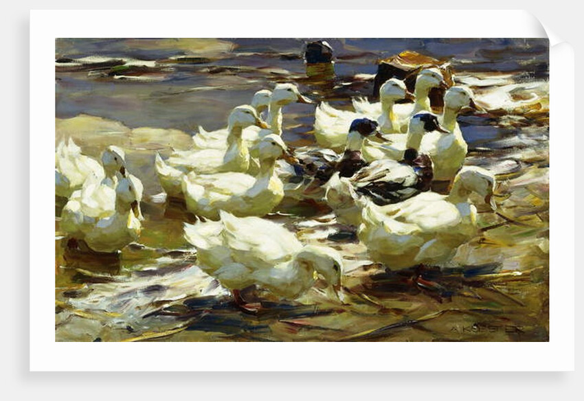 Ducks in the Pond; Enten im Teich, by Alexander Koester