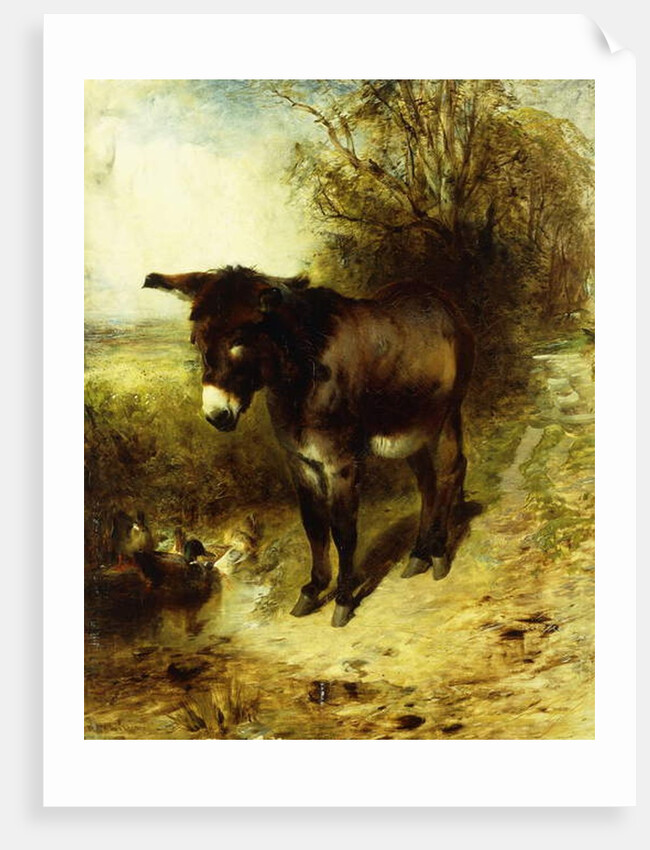 A Brown Study, 1853 by William Huggins