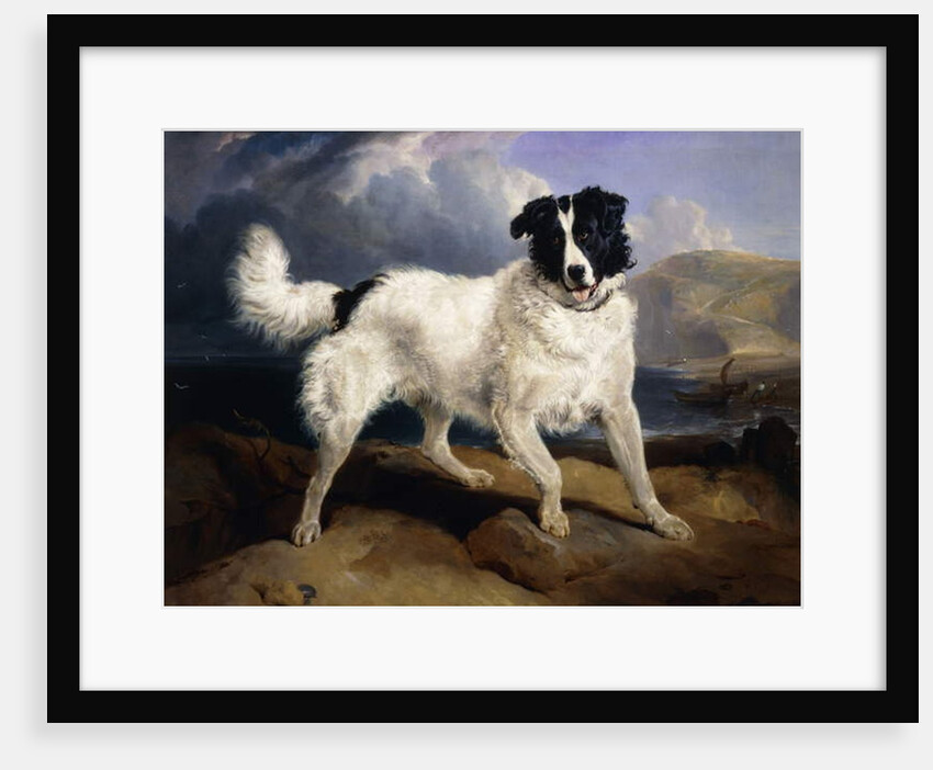 A Portrait of Neptune, 1824 by Edwin Landseer