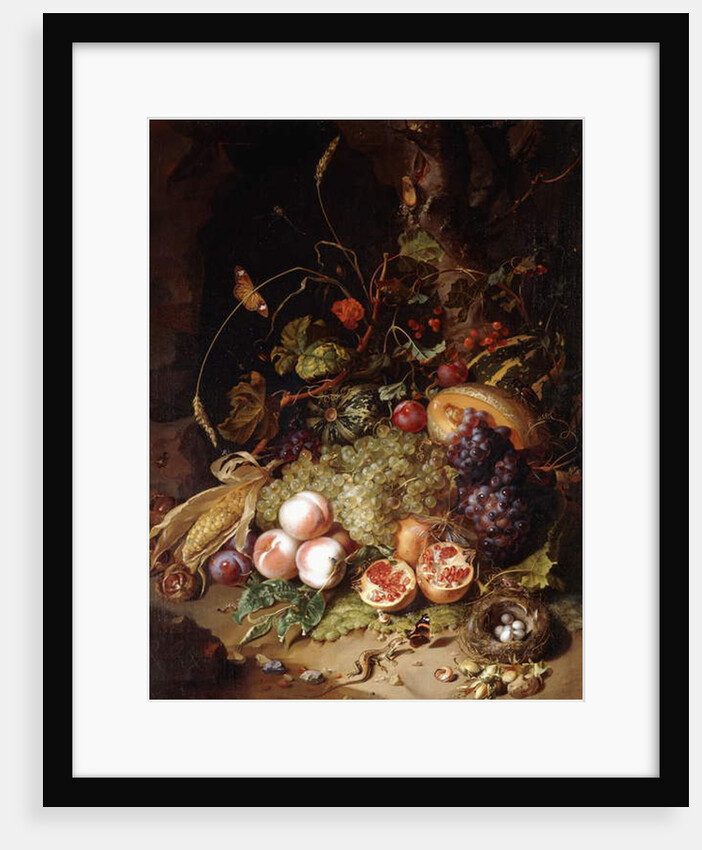 Still-life with Fruit and Insects by Rachel Ruysch