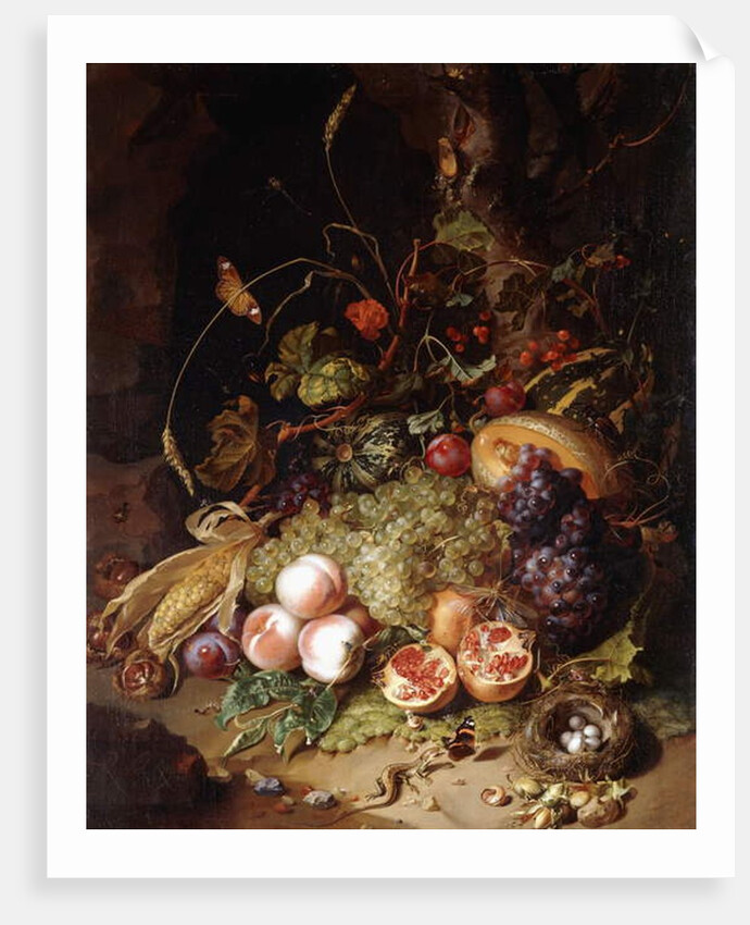 Still-life with Fruit and Insects by Rachel Ruysch